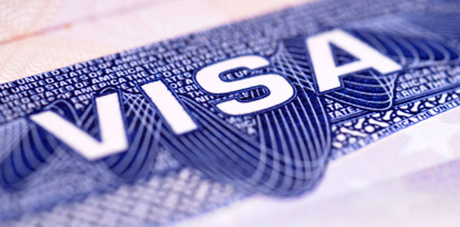 Immigration services and visa services image