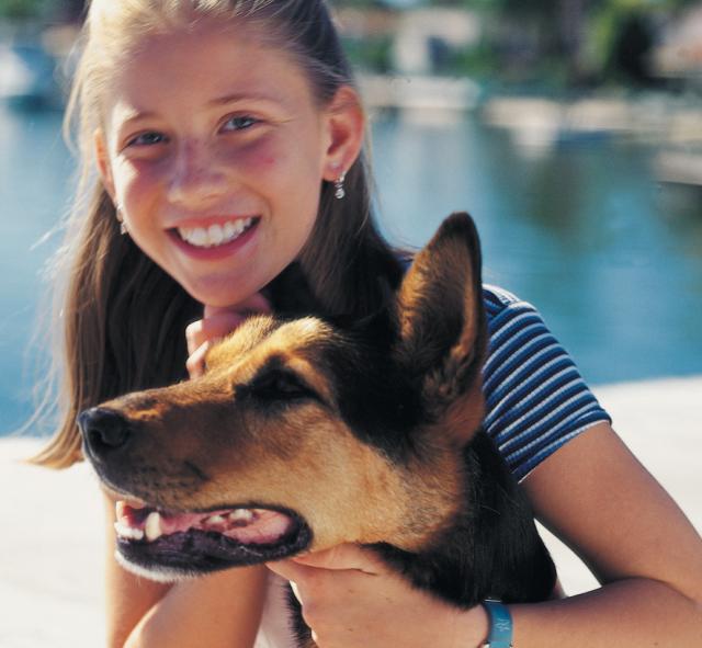 Pet transport and pet boarding image